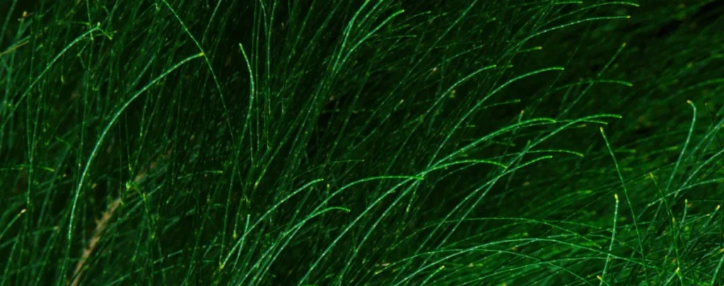 2026 Brokers E&O Claims Trends